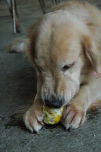 1380944048-2882143830