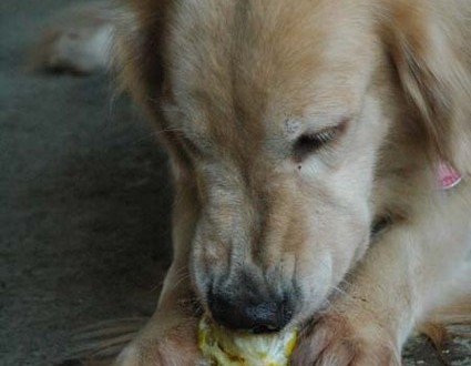 1380944048-2882143830