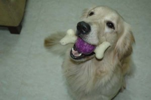 1380944048-688021784