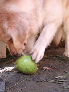 1380944049-3459840263