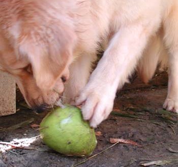 1380944049-3459840263