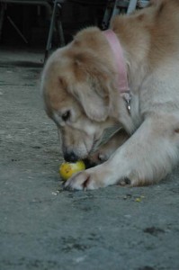 1380944049-866793228