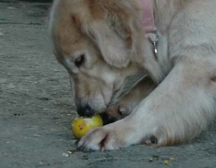 1380944049-866793228