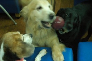 1380944050-1038185286