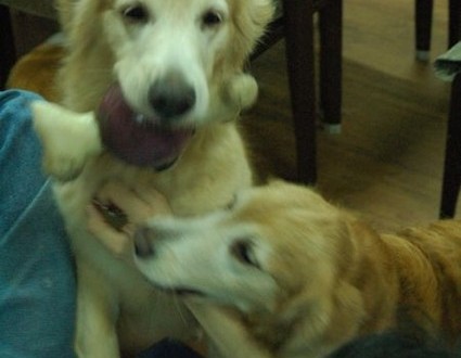 1380944050-1401690099