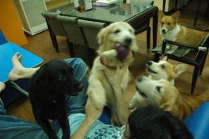 1380944050-3390705173