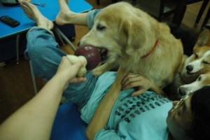 1380944050-613631098