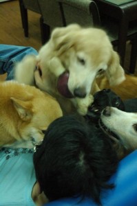 1380944051-1727867503