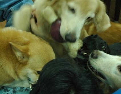 1380944051-1727867503