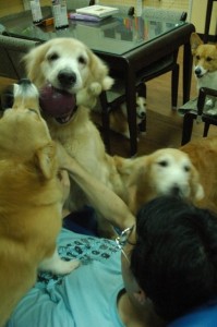 1380944051-2520500430