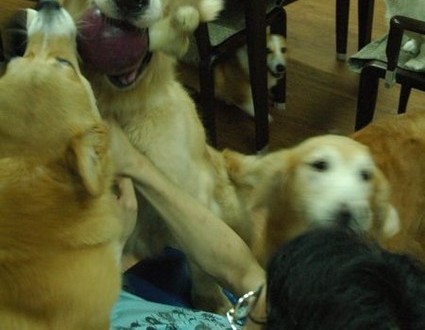 1380944051-2520500430