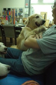 1380944052-129289484