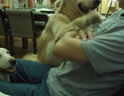 1380944052-129289484