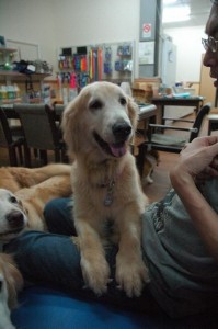 1380944052-1947227748