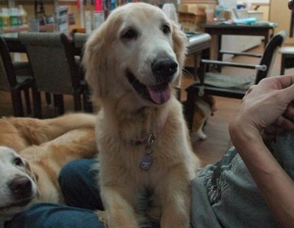 1380944052-1947227748