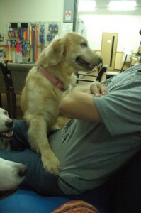 1380944052-939973427