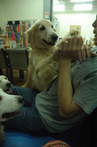 1380944053-2864810245