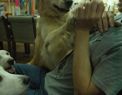 1380944053-2864810245