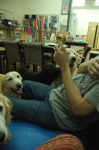 1380944053-3762753660