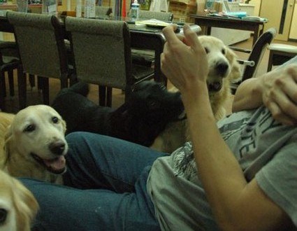 1380944053-3762753660