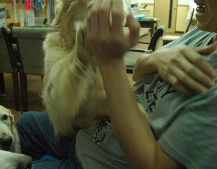 1380944053-563997512