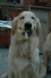 1380944054-487569091