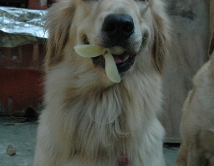 1380944054-487569091