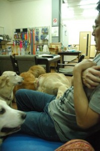 1380944054-521969487