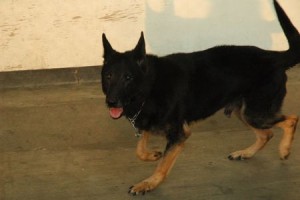 1380944059-3068111731