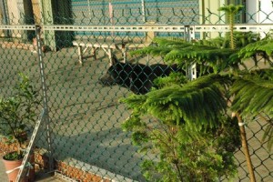 1380944059-361856111