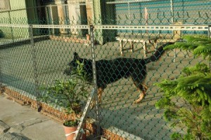 1380944060-1422519359