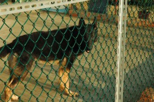 1380944060-558368965