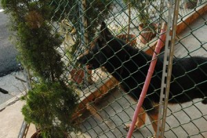 1380944061-377946193