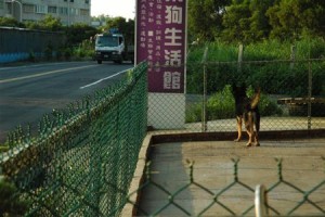 1380944061-4145565338