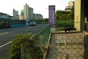 1380944062-1388938973