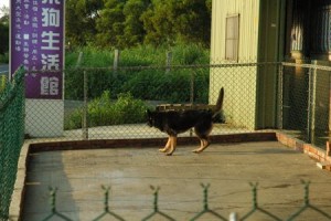 1380944062-2291297689