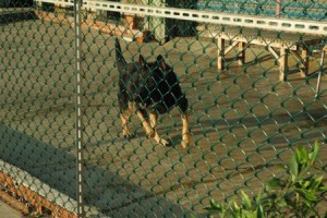 1380944063-899280097