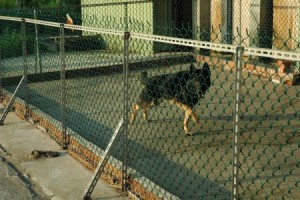 1380944064-3733654999