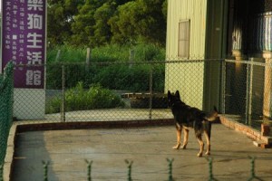 1380944064-582722270