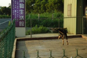 1380944064-946875206