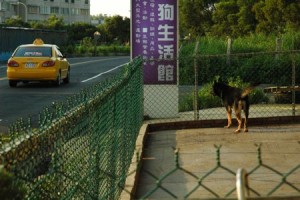 1380944065-1209305903