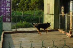 1380944065-3750684360