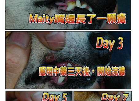 1380944067-3955182770