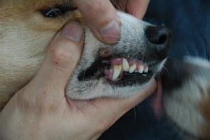 1380944069-618639498