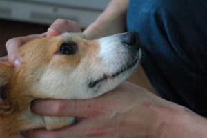 1380944073-947285123