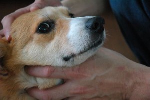 1380944074-1740826121