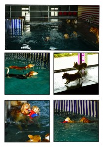 1380944075-3013094312