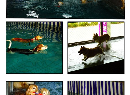 1380944075-3013094312