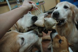 1380944075-3672230449