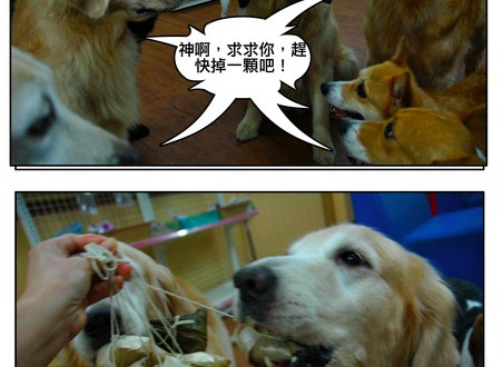 1380944075-3816123047